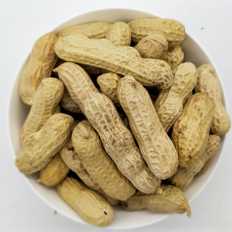 生四粒红花生果，带壳，生熟原味批发，工厂直销，炒货原料