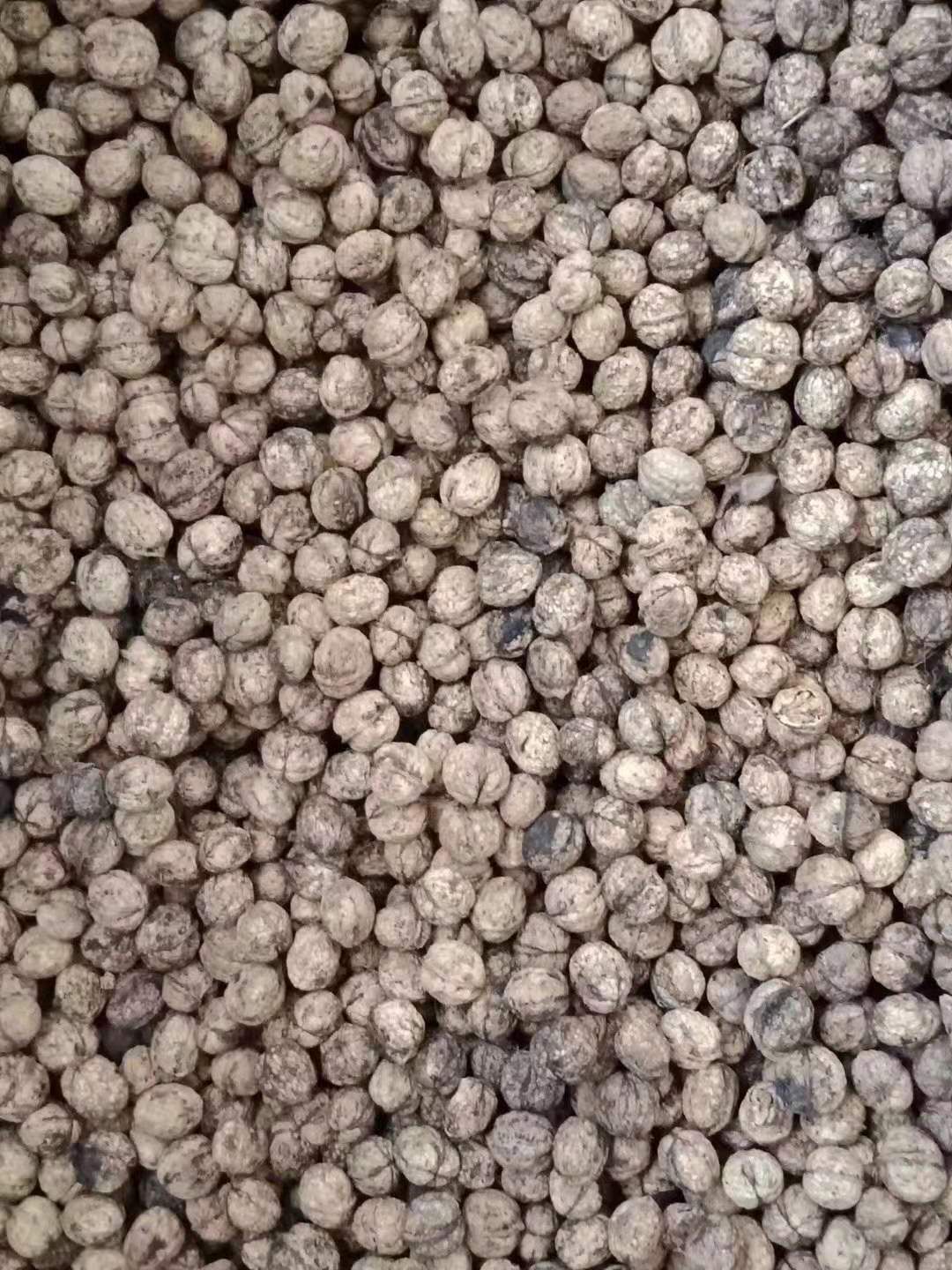 云南核桃 26~30mm 箱装 24个月以上 