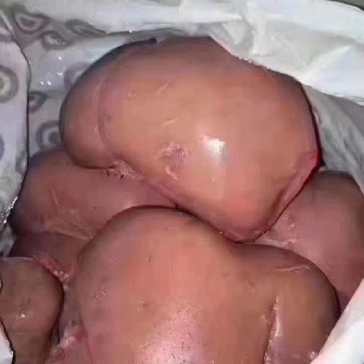 羊杂  万邦供应商熟羊肝生羊肝现货