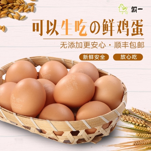 雏鸡蛋  朝一鸡蛋（可生食无菌鸡蛋）