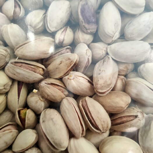 义乌市伊朗开心果新果原色原味全自开