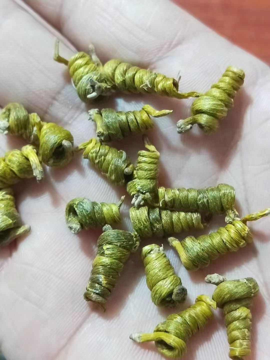 石斛米斛  正宗霍山米斛  5年林下种植  品质好 胶质好 批发价