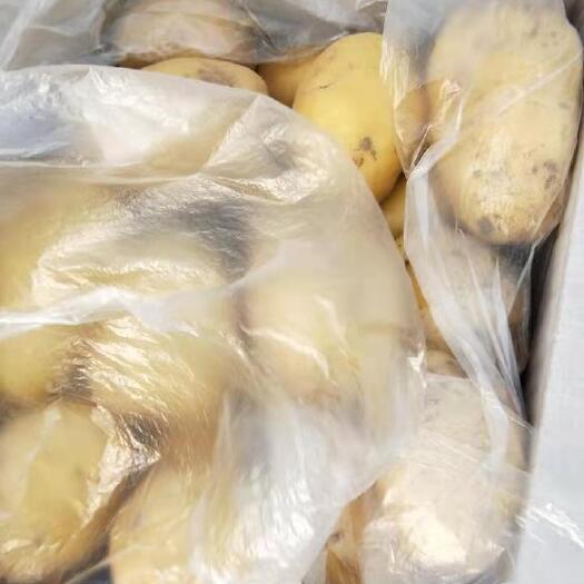 荷兰十五土豆黄皮黄心个头均勺鲜新皮好光滑，4两以上不封顶箱装