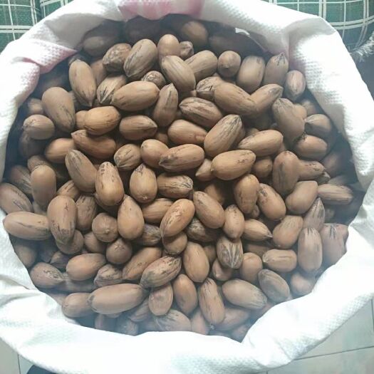 昆明 家里自产碧根果，想帮父母卖掉