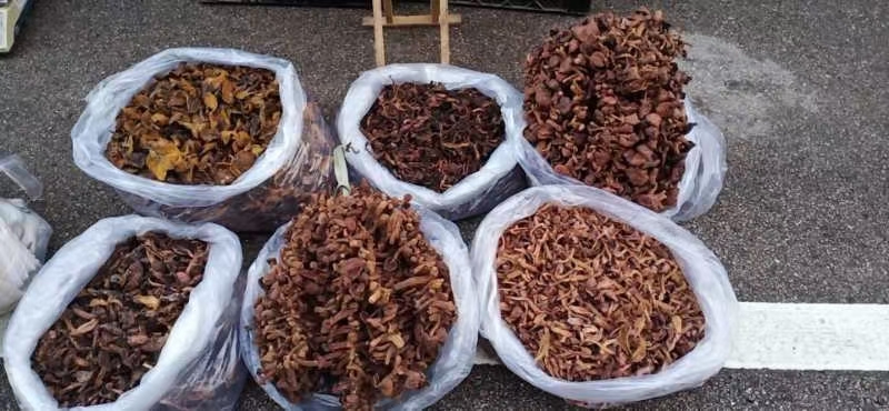 红菇  东北红蘑，原产地，可批发零售