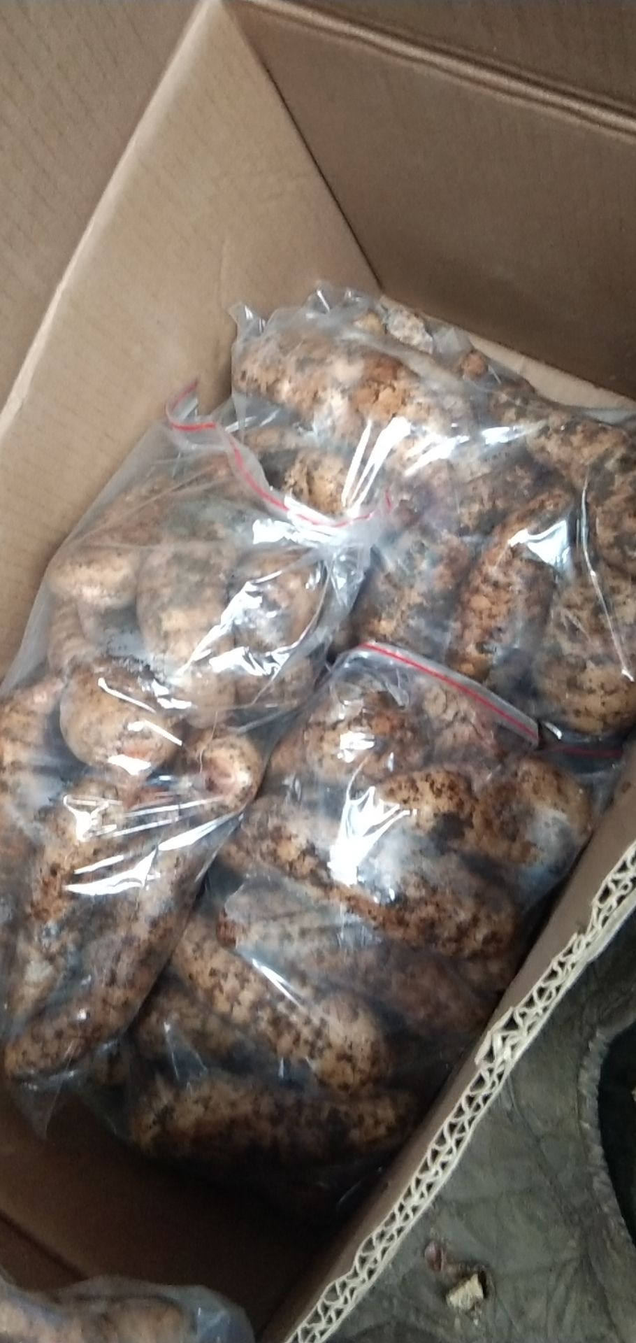 红天麻  贵州省大方县红杆天麻批发零售，欢迎你来咨询。