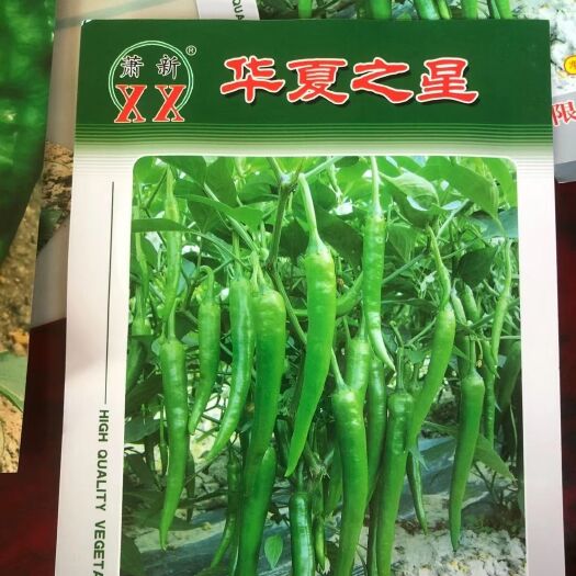 宿州 杭椒苗螺丝椒
