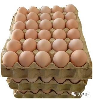 成都 鲜鸡蛋