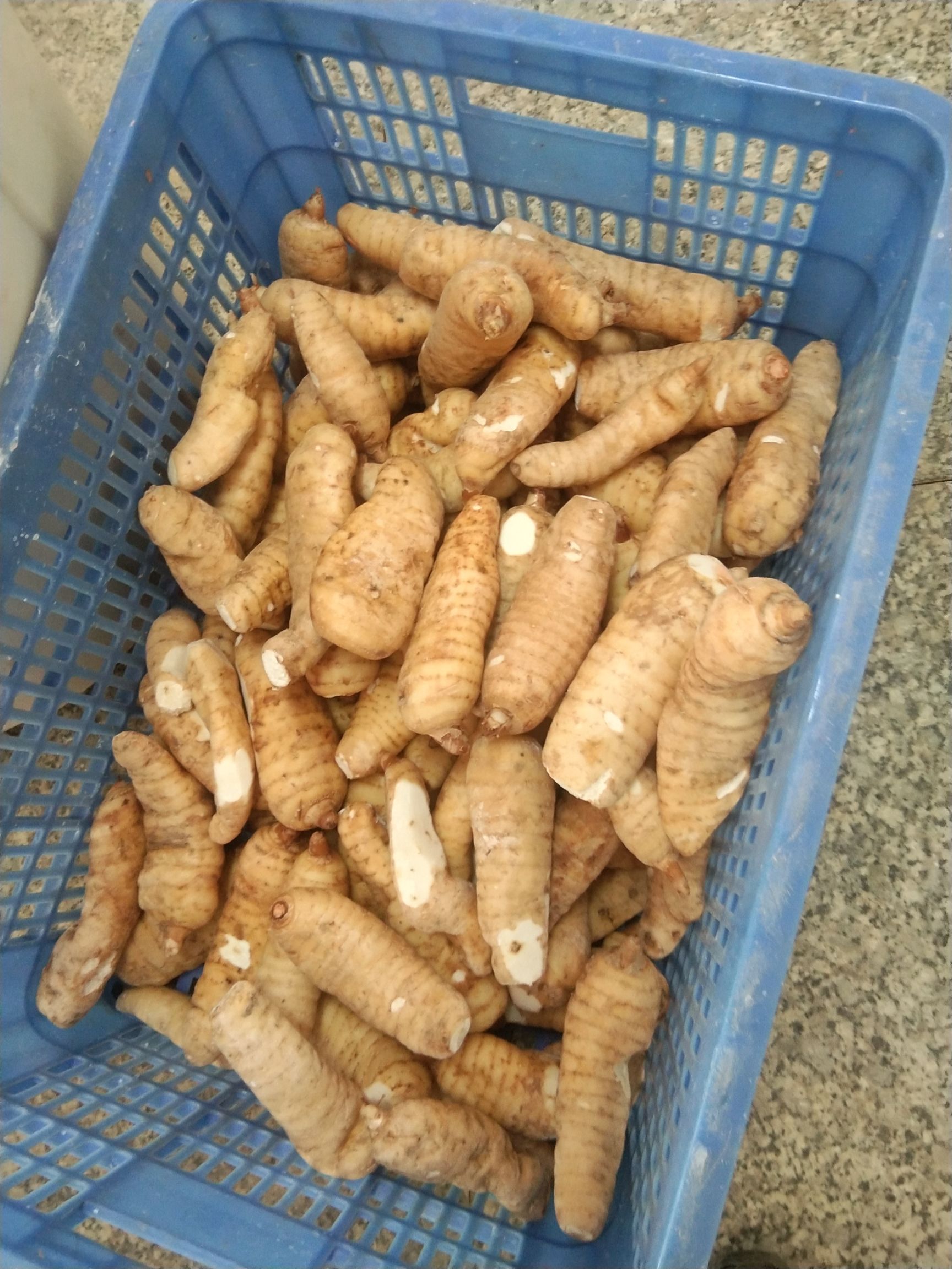 贵州省大方县红杆天麻批发零售，欢迎您来咨询。