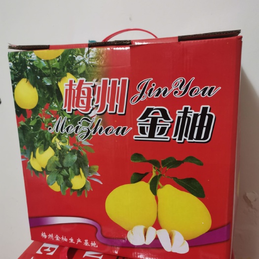 沙田柚  梅州金柚，纯甜不酸，零售批发均有，精选4个装（11-12斤）