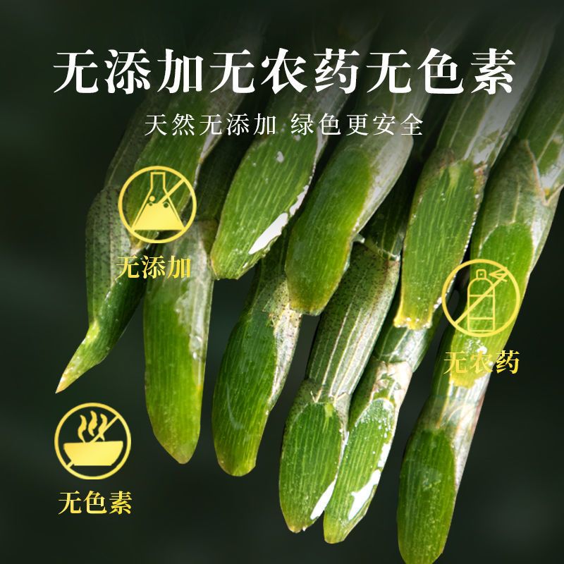  霍山铁皮石斛鲜条 基地直供 新鲜采摘 胶质饱满 批发价