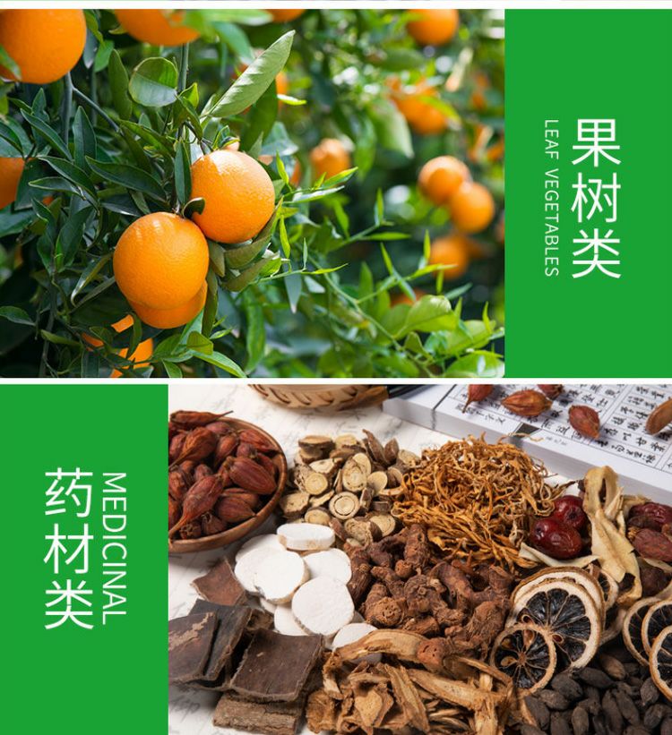 流体硼液体水溶硼保花保果膨果叶面肥料果树柑橘蔬菜大棚通用