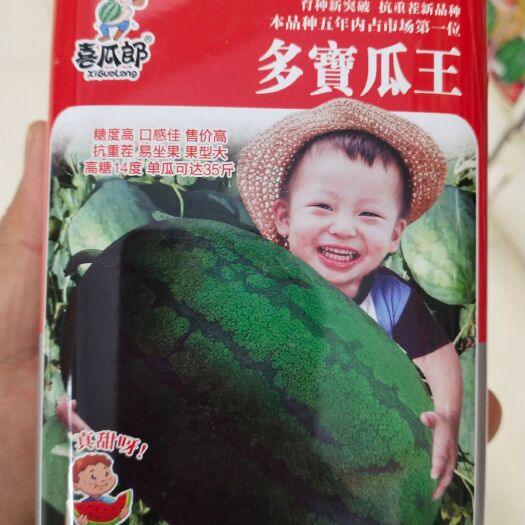 扶沟县重茬西瓜种子 多寶瓜，糖度高，口感佳售价，重茬易坐果果