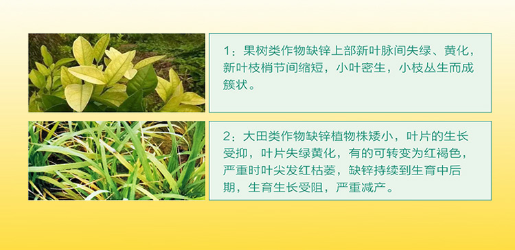 糖醇锌肥有机流体锌叶面肥果树蔬菜黄叶授粉不良糖醇螯合锌肥