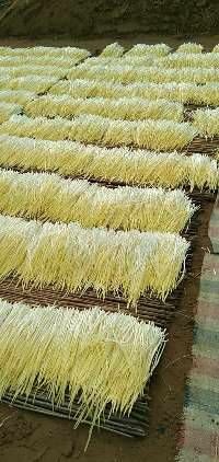 丰县普通韭黄 头茬 40~50cm 