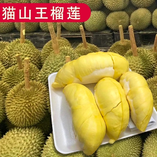 沭阳县猫山王榴莲 特级 