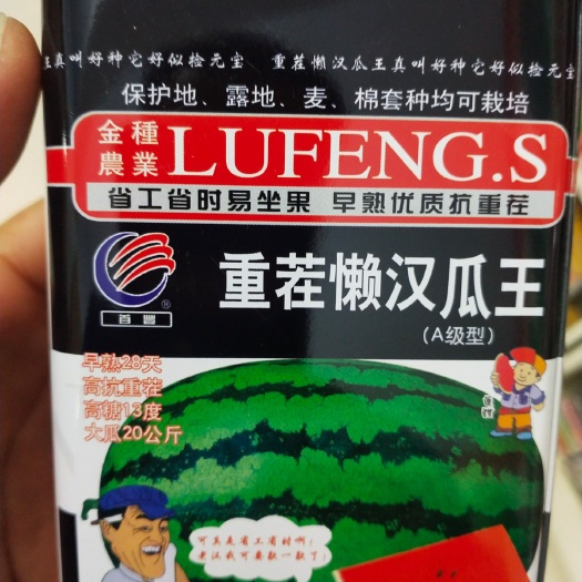 懒汉西瓜种子 重茬懒汉瓜