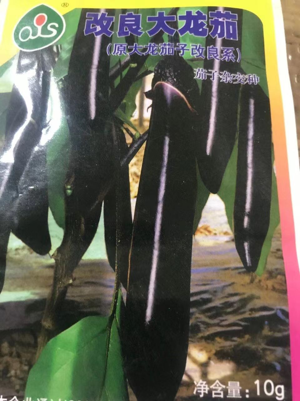 茄子苗自根/嫁接苗改良大龙长茄黑龙长丰紫把紫萼长茄