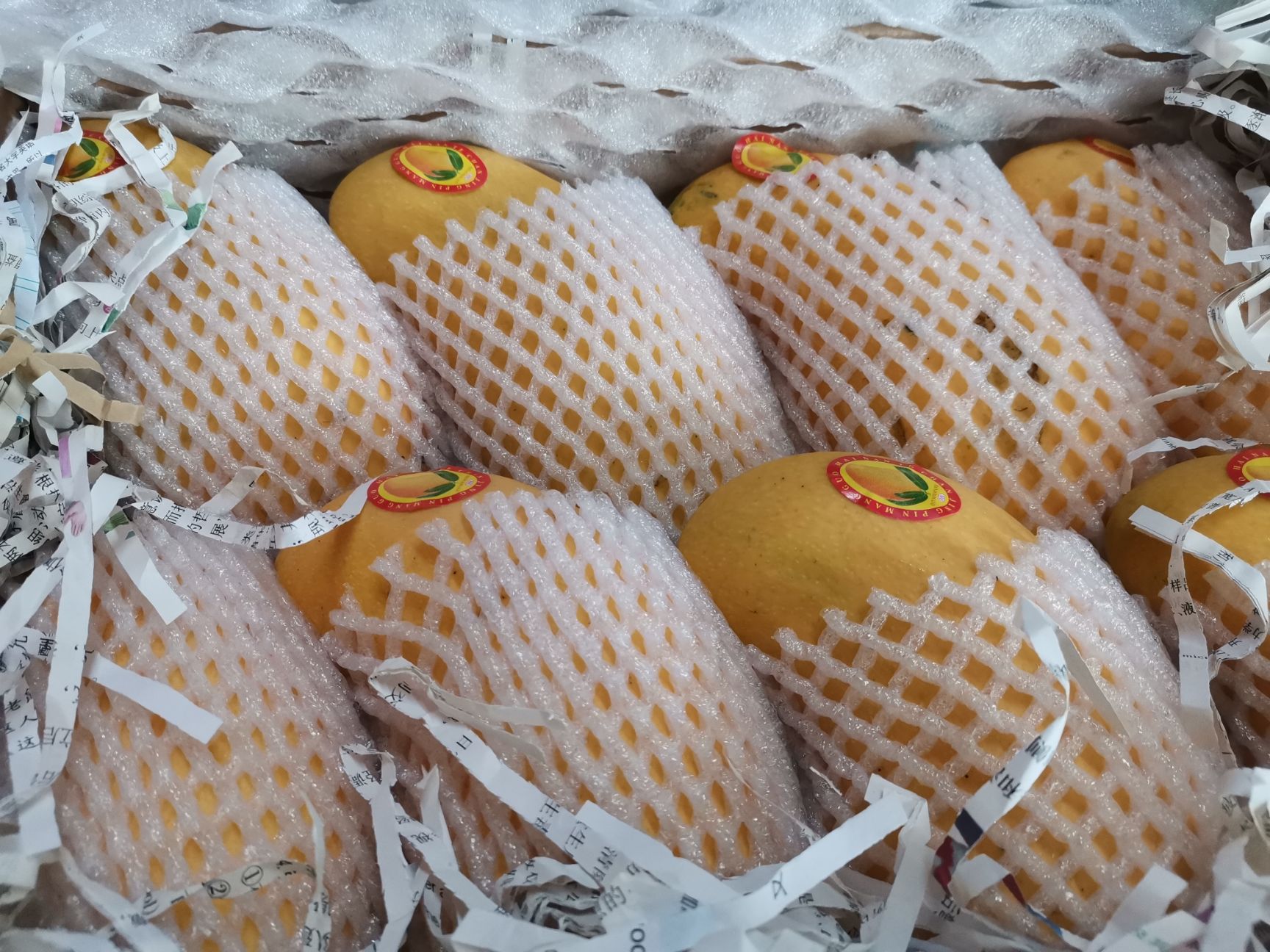 水仙芒果  金煌芒水仙芒一级芒果