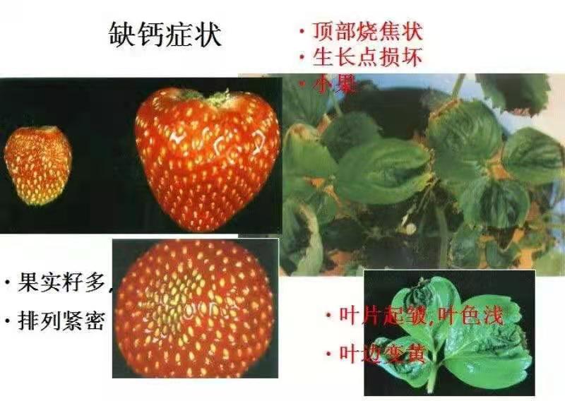 矿源黄腐酸钾。一公斤装。