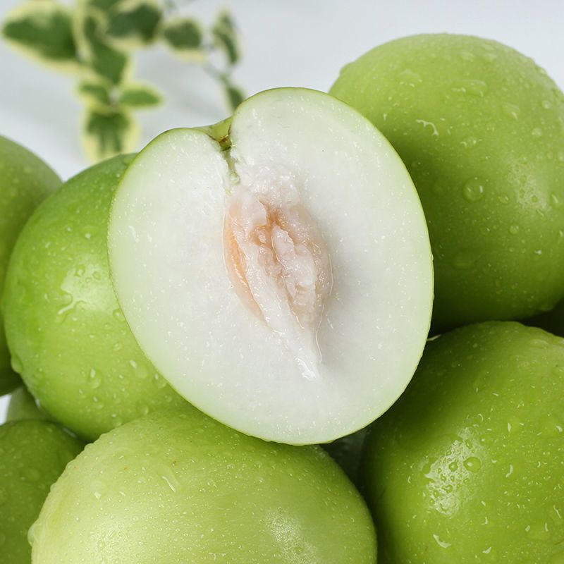 现摘牛奶大青枣新鲜水果牛奶枣脆甜枣子贵妃枣蜜枣奶油枣