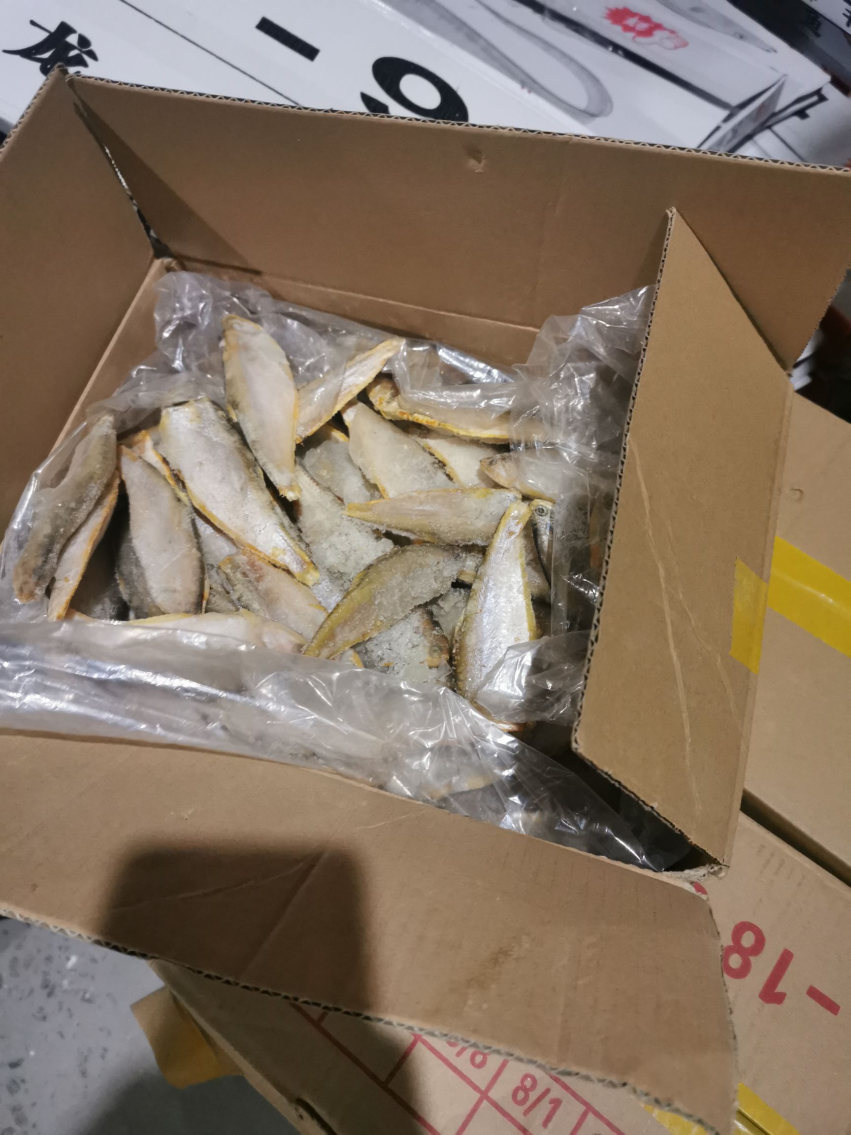 急冻黄鲫鱼，优质价廉
