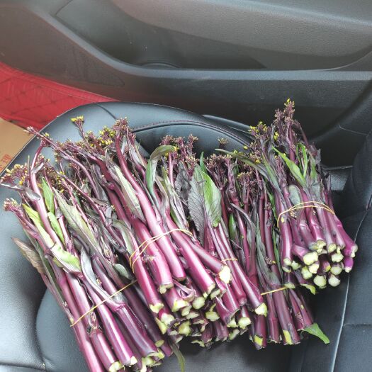 安顺贵州精品红菜苔，口感好 货品质有保证，