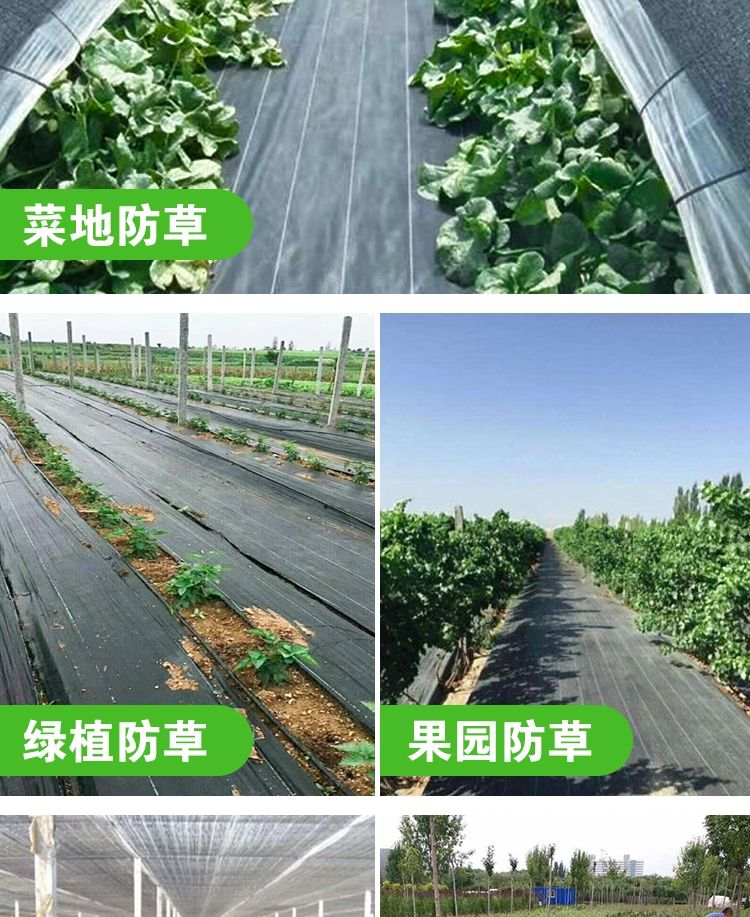 防草布除草布抗老化果园果树遮草盖草布农用园艺地布耐用透气保湿