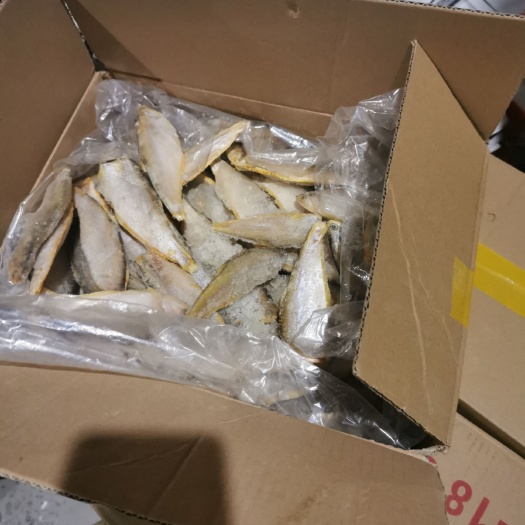 济南急冻黄鲫鱼，优质价廉