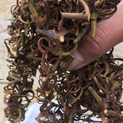 通道县湖南钩藤干货含钩量高