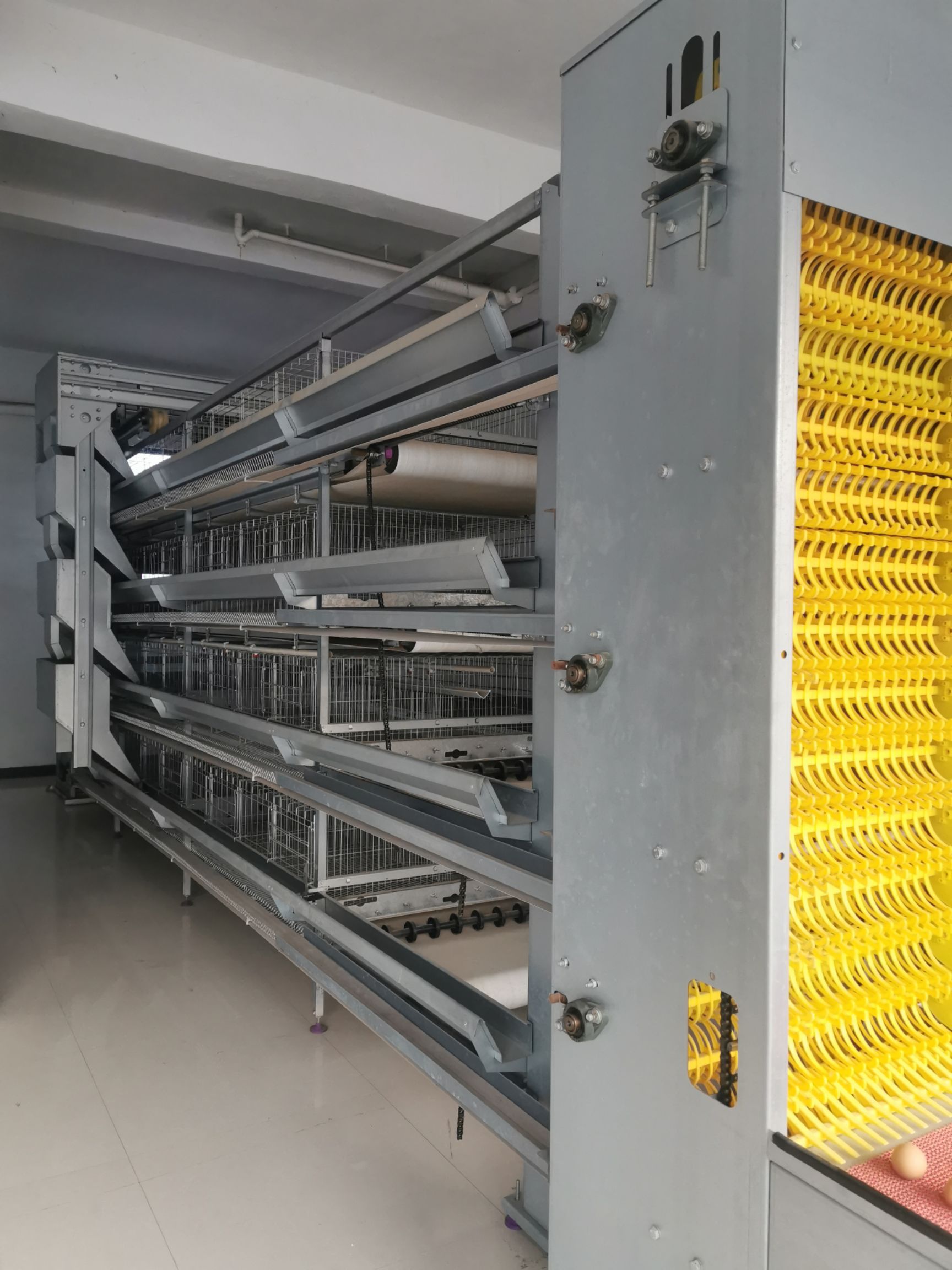 捡蛋机  欢迎咨询