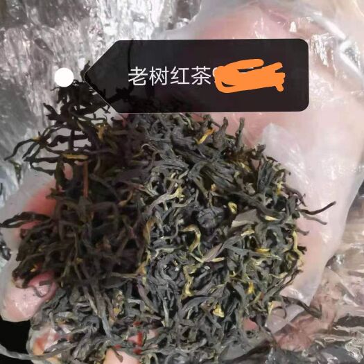 英德老树红茶