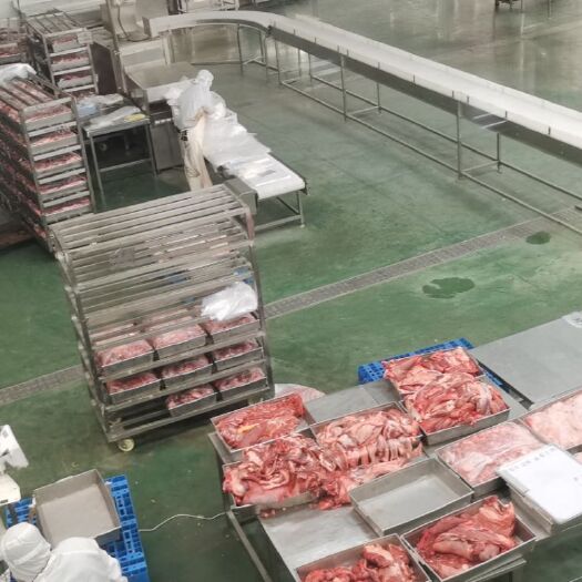 东阿县鲜驴肉  大量供应驴肉