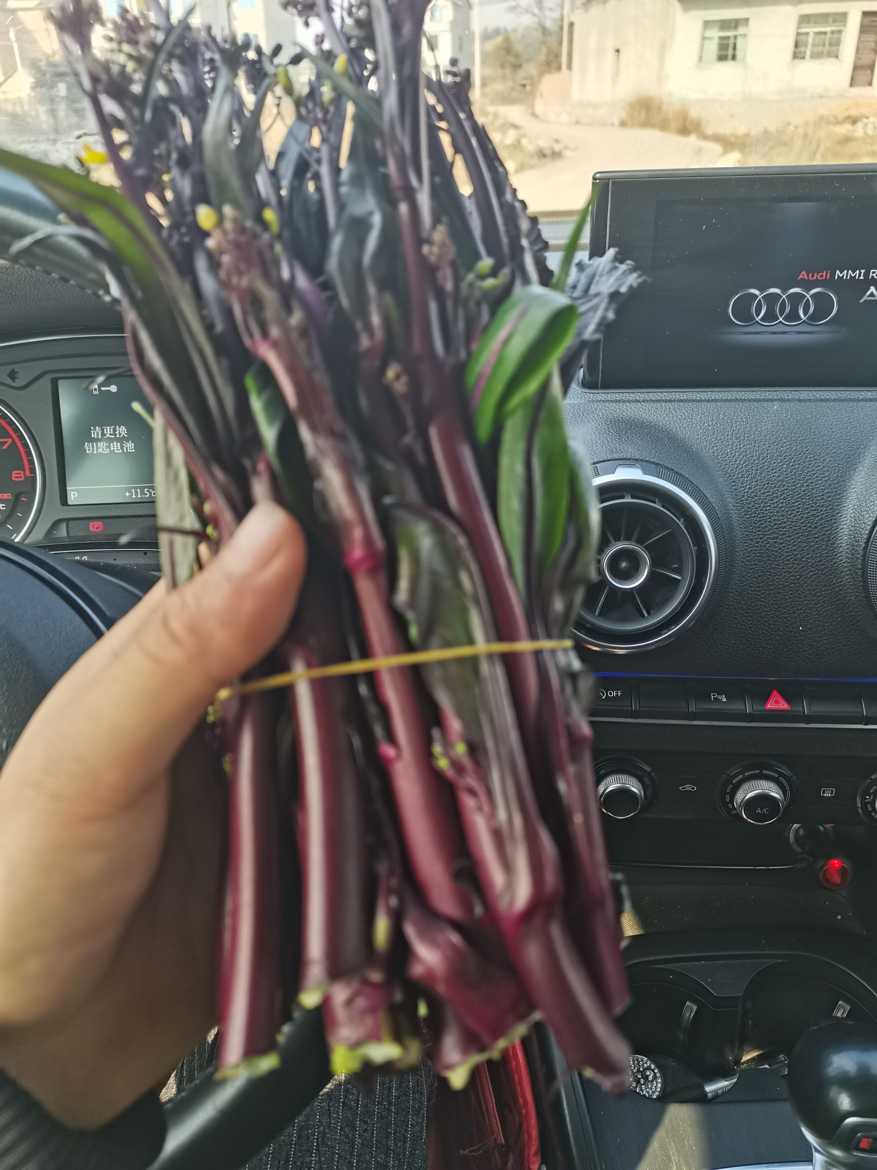 贵州精品红菜苔，口感好 货品质有保证，