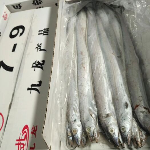 济南7-9舟山带鱼白箱中号
