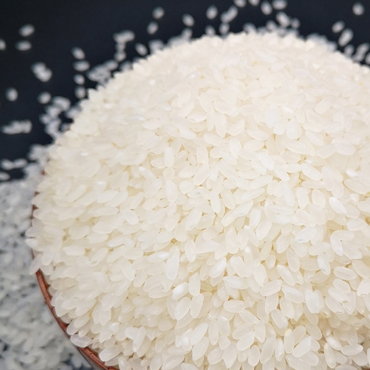 方正县黑龙江珍珠米 食堂米样品 包邮到家