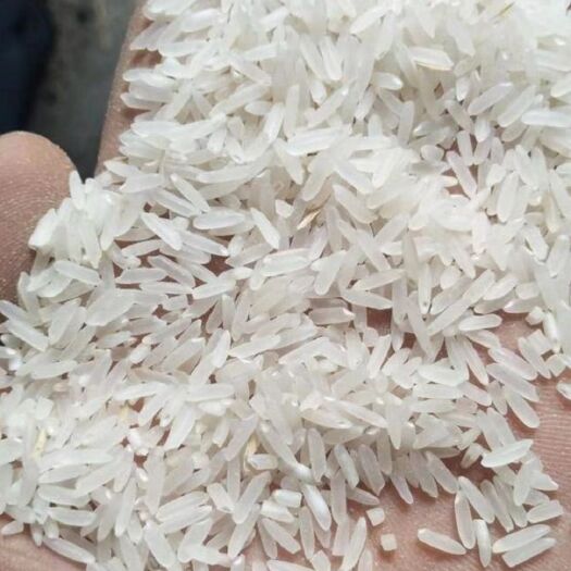 公安县稻谷  大量荆州黄花占出售，出米96.烘干粮，水份14左右。