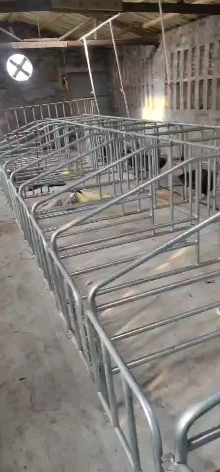 封丘县养殖设备 产床产保一体定位栏保育栏小猪保温箱复合漏粪板不锈钢料槽