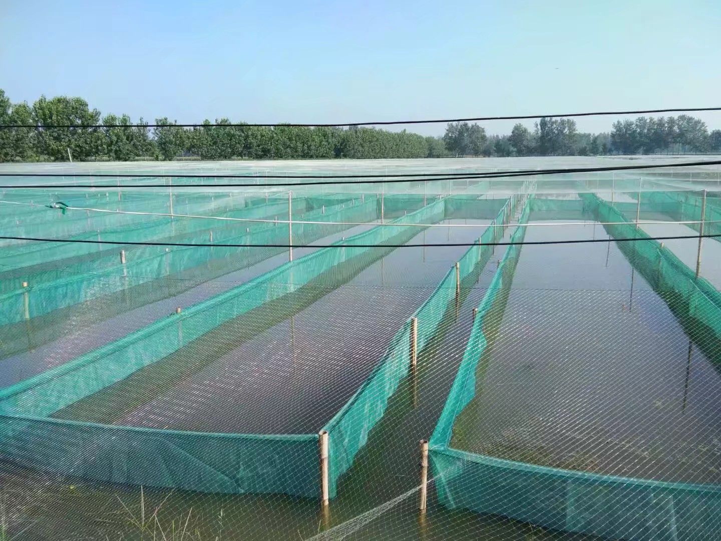 水产养殖网箱 养殖网箱，刀刮布水箱，龙虾水蛭泥鳅养殖专用网箱水箱，厂家直供
