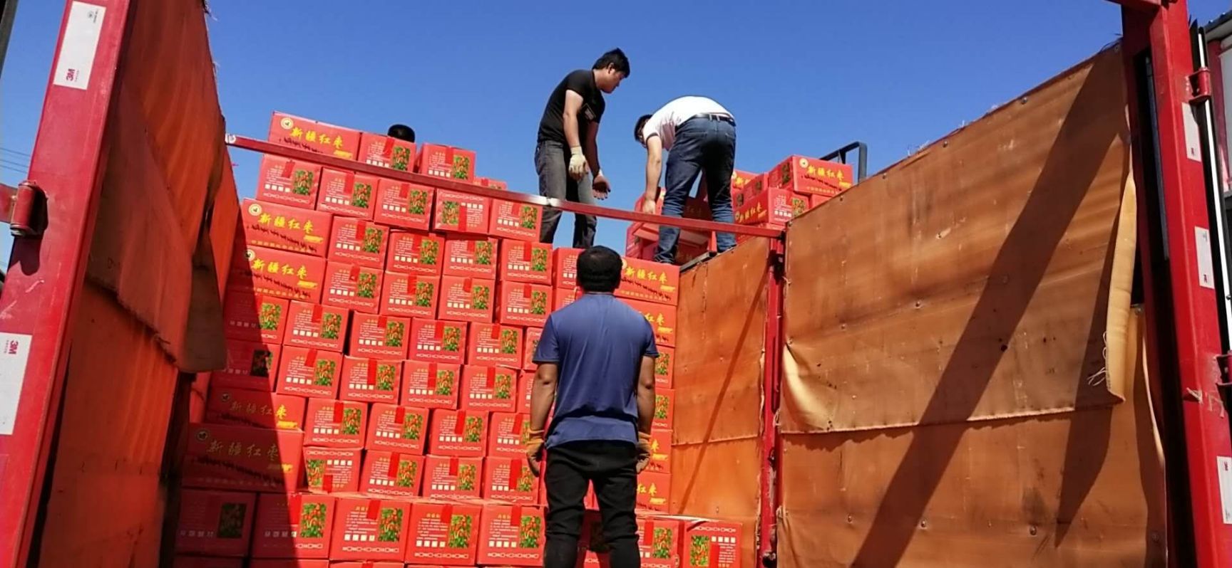 新疆若羌红枣小灰枣  厂家大量现货 电商直播团购商超供应链