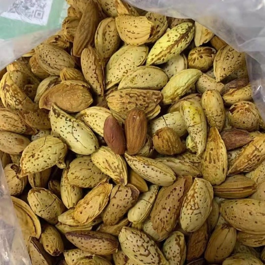 成都巴旦木