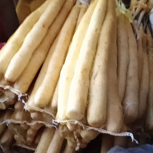 蠡县麻山药 30~40cm 