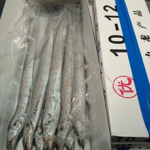 10-12白箱舟山带鱼