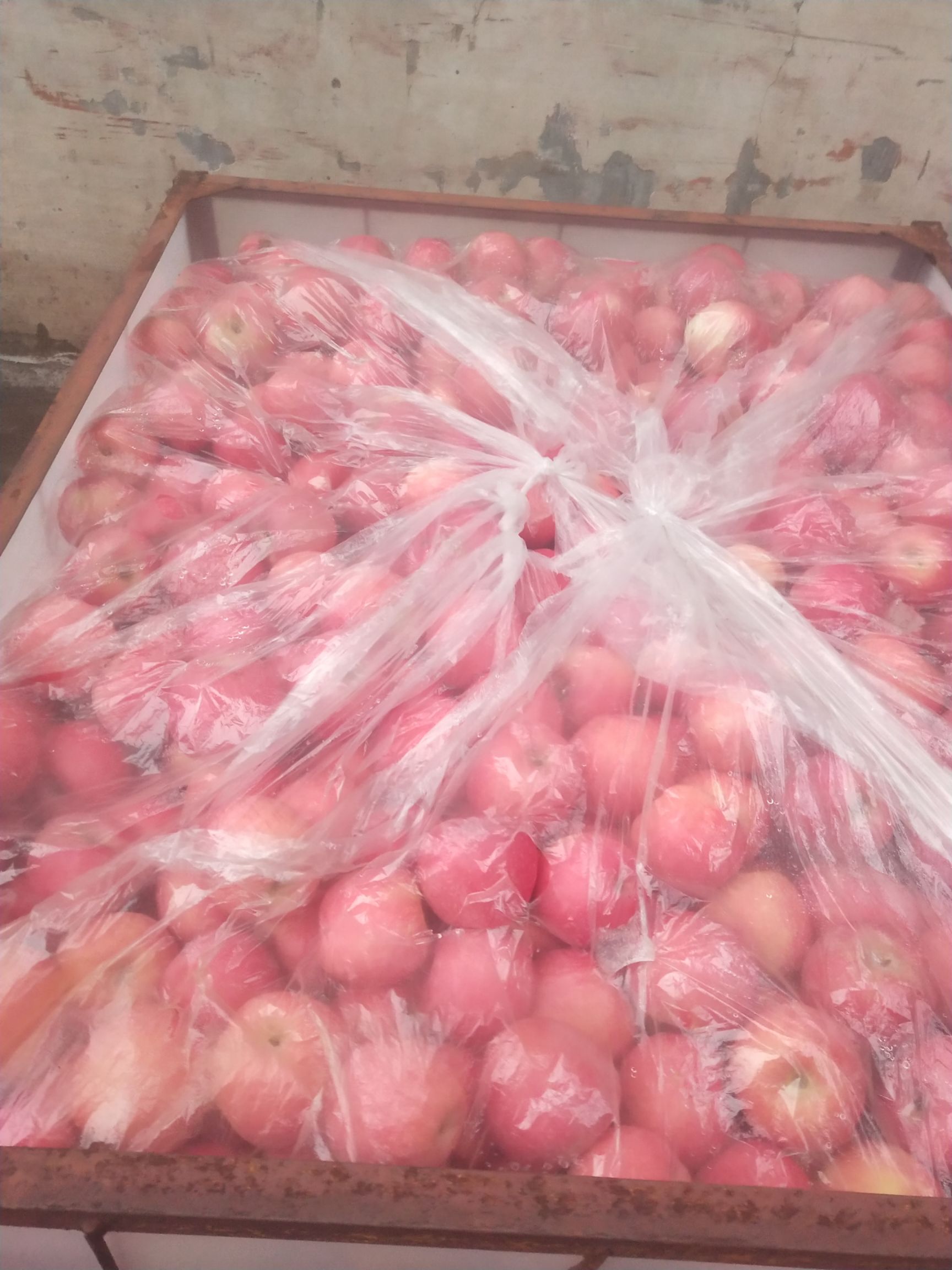 条红，纯三级，烟台红富士苹果，栖霞苹果