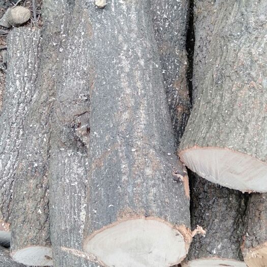 滁州青冈木材批发 食用菌种植专用木材 规格长短可定  大量供应