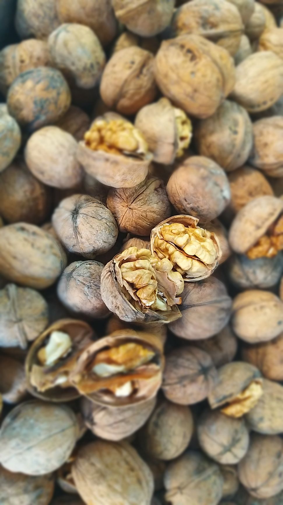  新疆阿克苏纸皮核桃未经过漂白没有化学处理