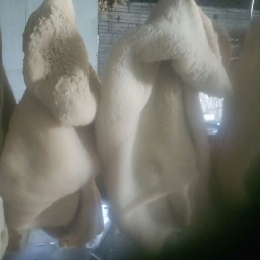 精制牛肚，工艺卤制，佐料精选，五香味浓，是餐桌上的好食材