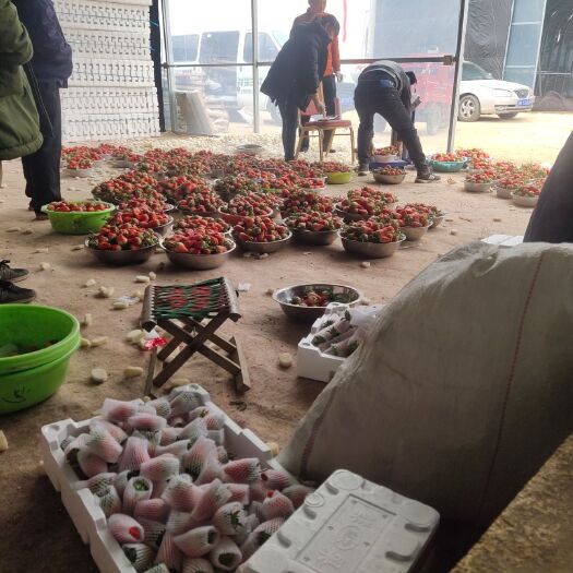 平度市甜宝草莓， 货量充足 各种包装规格