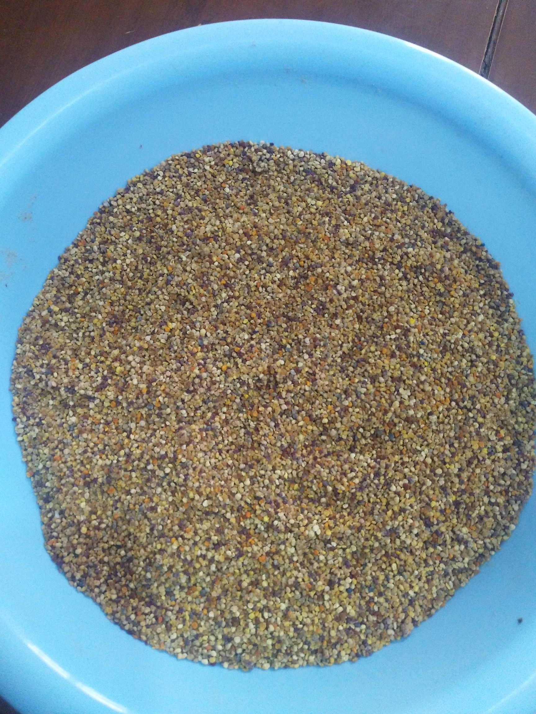 蜂花粉  纯真山花花粉