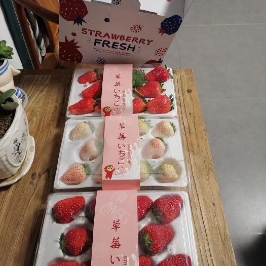 北京白雪公主草莓 北京地区自己种植草莓